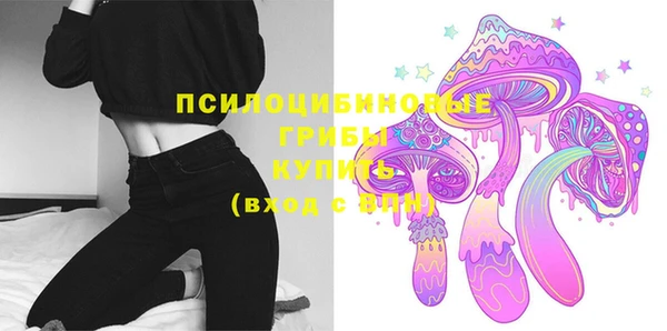 кокс Вяземский