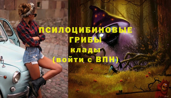 2c-b Вязьма