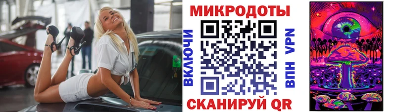 Купить закладки  Обь  Галлюциногенные грибы Psilocybe 